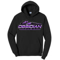 Hoodie Obsidian Tint LLC